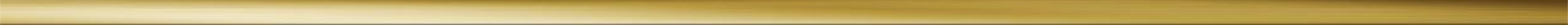 Text Box: 